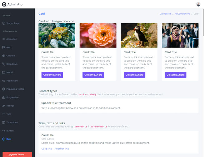 adminpro-angular-lite-nw-1.jpg